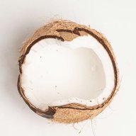 Coconut