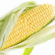 Corn starch