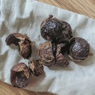 Soap nuts